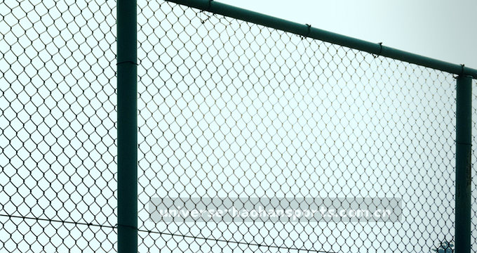 数据流动中 趋势渐隐渐显